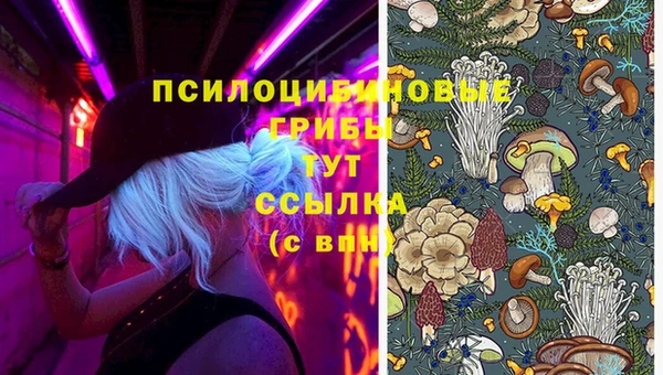 амфетамин Гусиноозёрск
