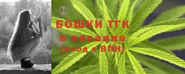 соль ск Гусев