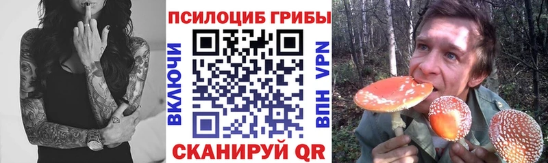 Галлюциногенные грибы Cubensis mega Ефремов