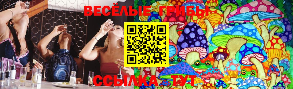 Ефремов  Галлюциногенные грибы ЛСД  Вход с VPN 