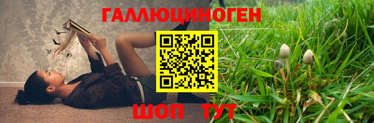 Галлюциногенные грибы MAGIC MUSHROOMS Ефремов